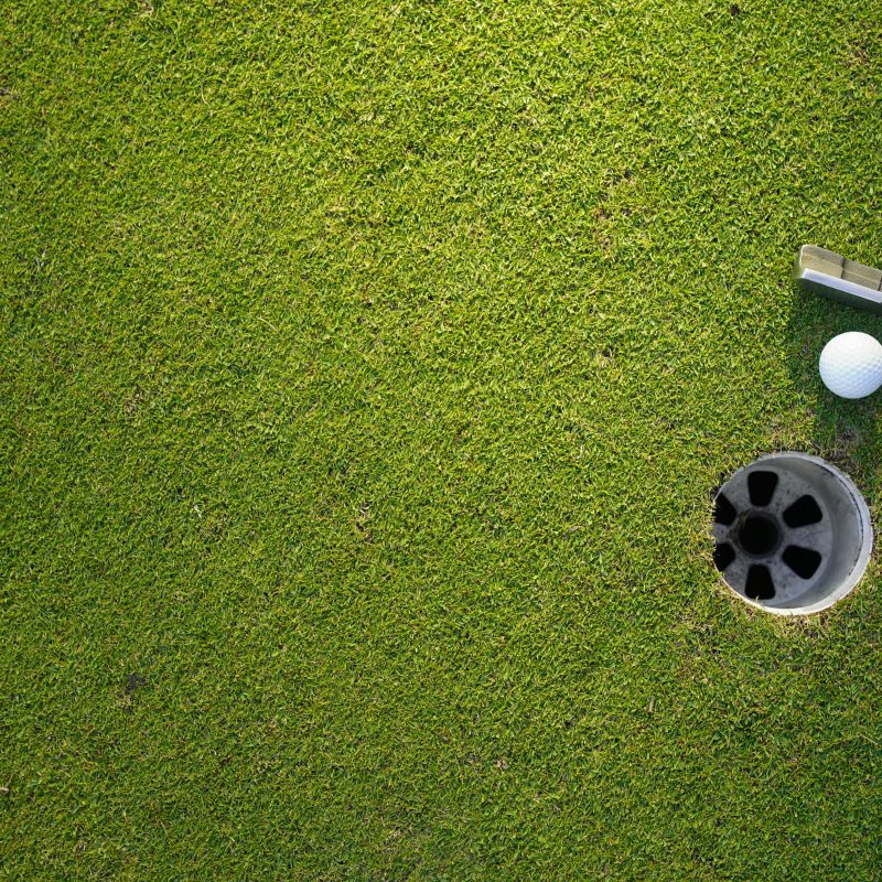 putter and golf ball on green