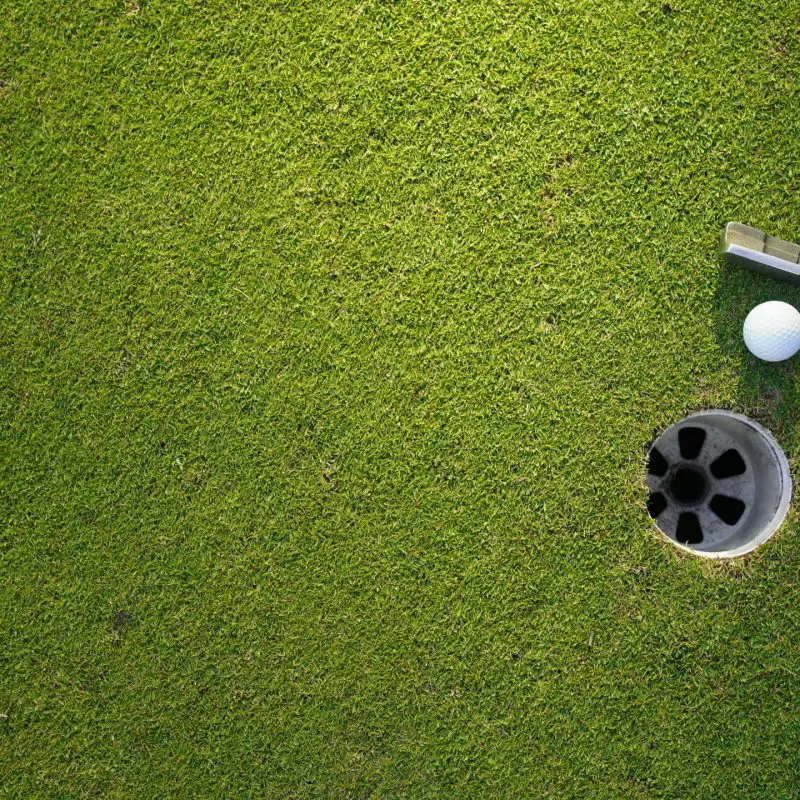 putter and golf ball on green